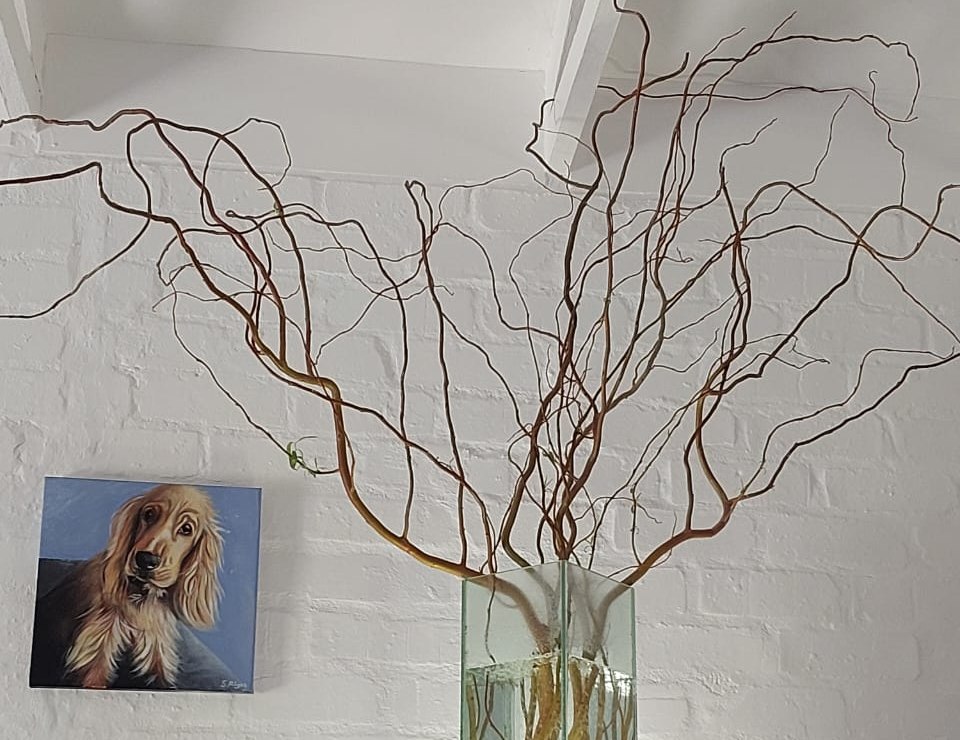 Bare curly willow branching out above the glass vessel in fine twisting lines across a white brick wall, with a painted portrait of Daphy hanging at the lower left.